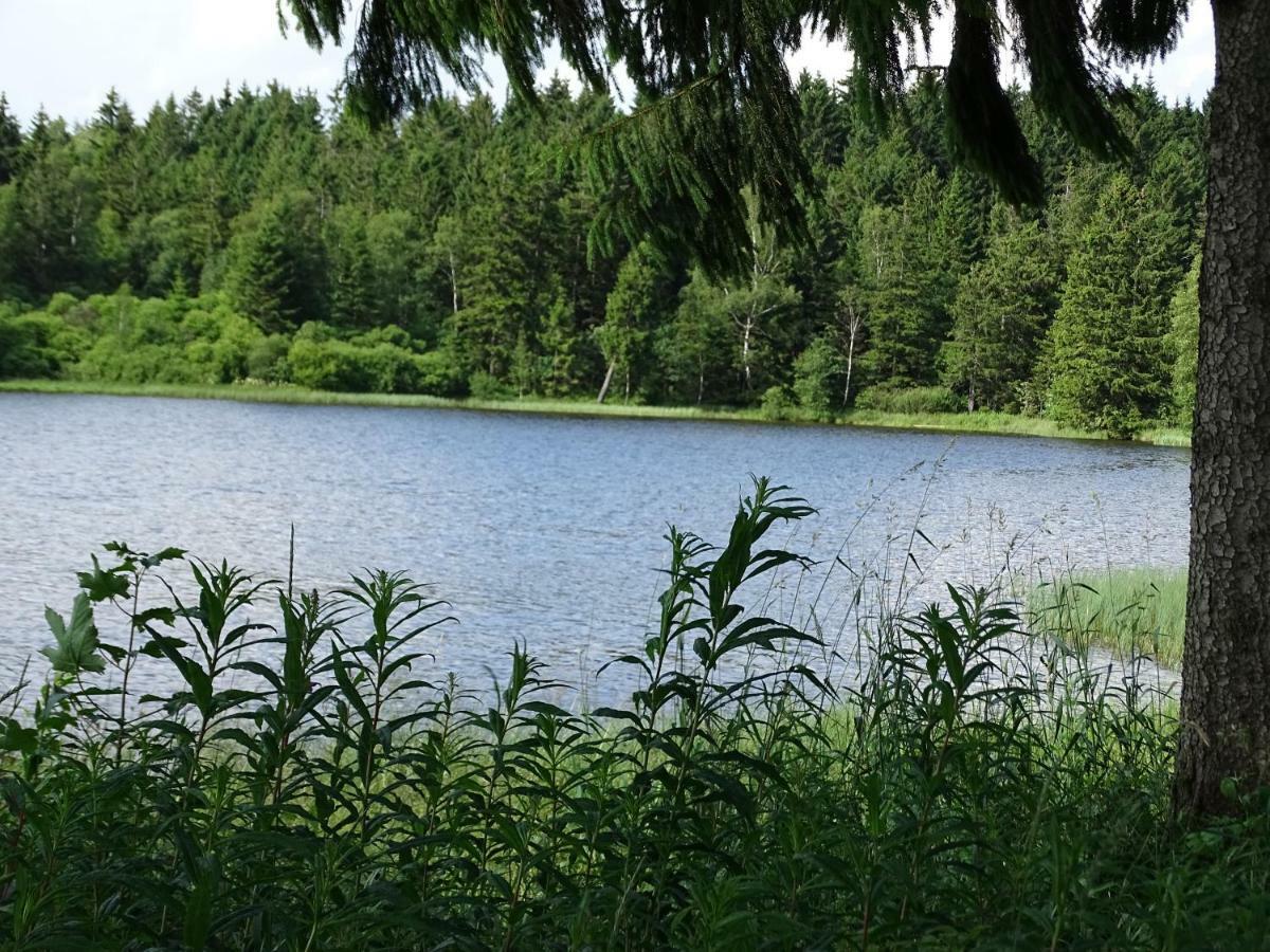 Huettenflair Am See Mit Kamin Clausthal-Zellerfeld Bagian luar foto